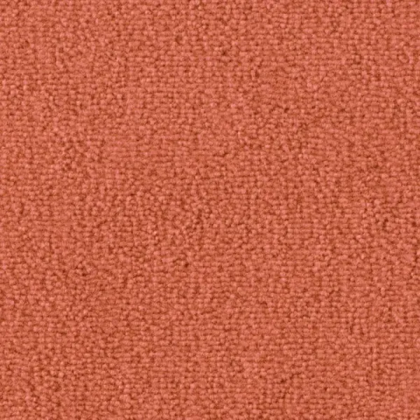 Nahaufnahme der Teppichfarbe Vorwerk Barista 1Q09 – Veloursstruktur im Detail